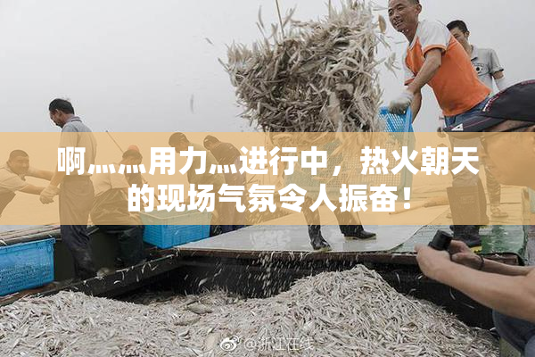 啊灬灬用力灬进行中，热火朝天的现场气氛令人振奋！