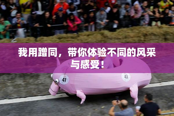 我用蹭同，带你体验不同的风采与感受！