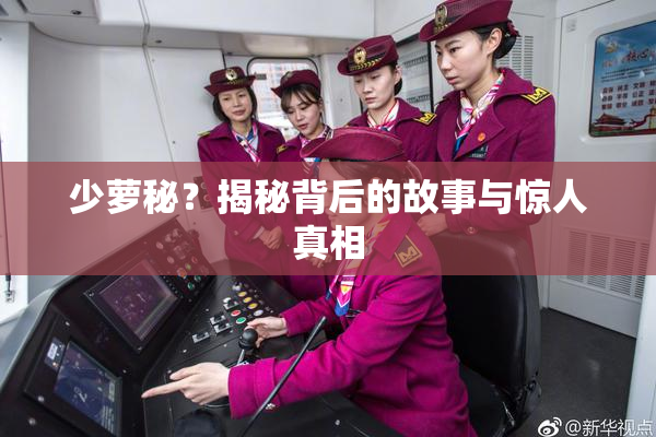 少萝秘？揭秘背后的故事与惊人真相