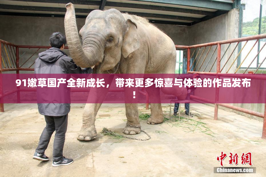 91嫩草国产全新成长，带来更多惊喜与体验的作品发布！