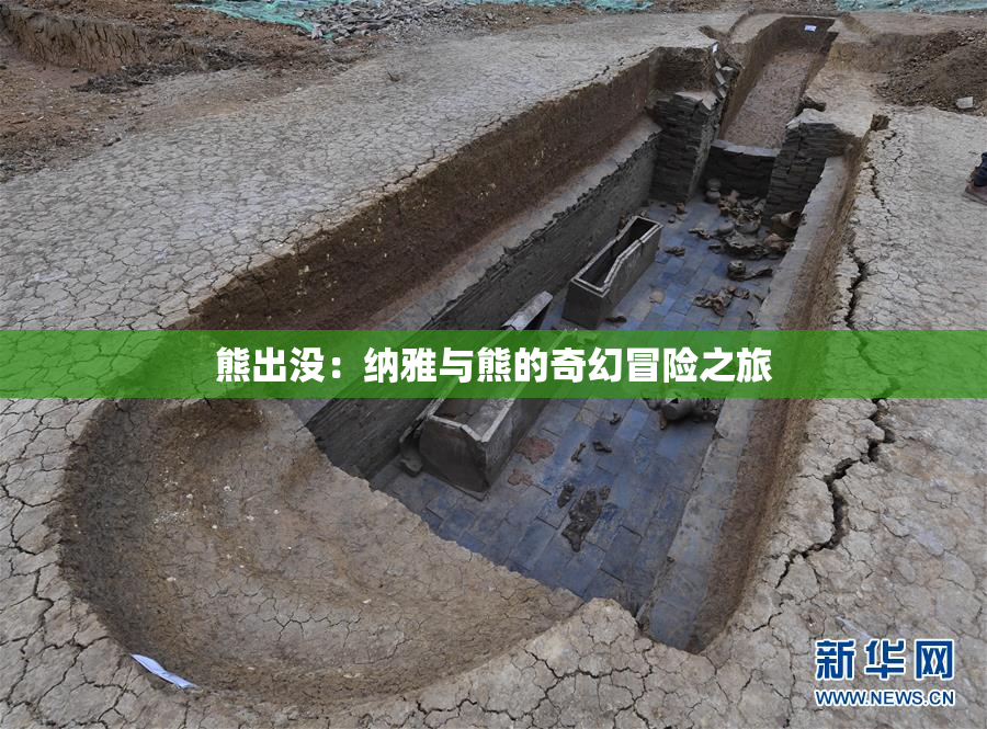 熊出没：纳雅与熊的奇幻冒险之旅
