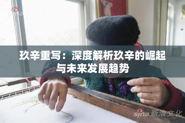 玖辛重写：深度解析玖辛的崛起与未来发展趋势