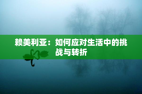 赖美利亚：如何应对生活中的挑战与转折