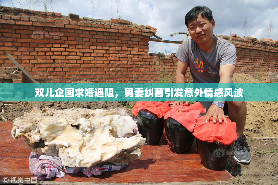 双儿企图求婚遇阻，男妻纠葛引发意外情感风波