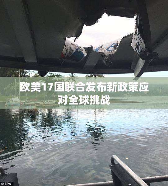 欧美17国联合发布新政策应对全球挑战