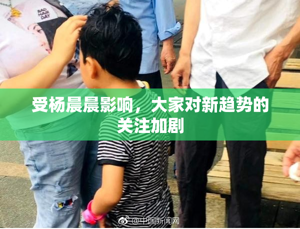 受杨晨晨影响，大家对新趋势的关注加剧