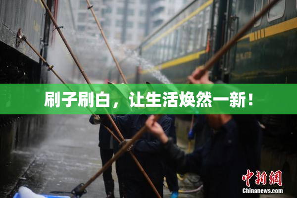 刷子刷白，让生活焕然一新！