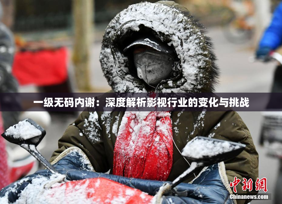 一级无码内谢：深度解析影视行业的变化与挑战