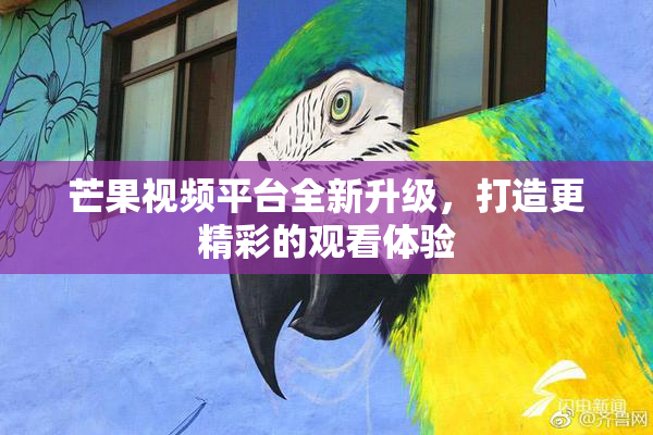 芒果视频平台全新升级，打造更精彩的观看体验