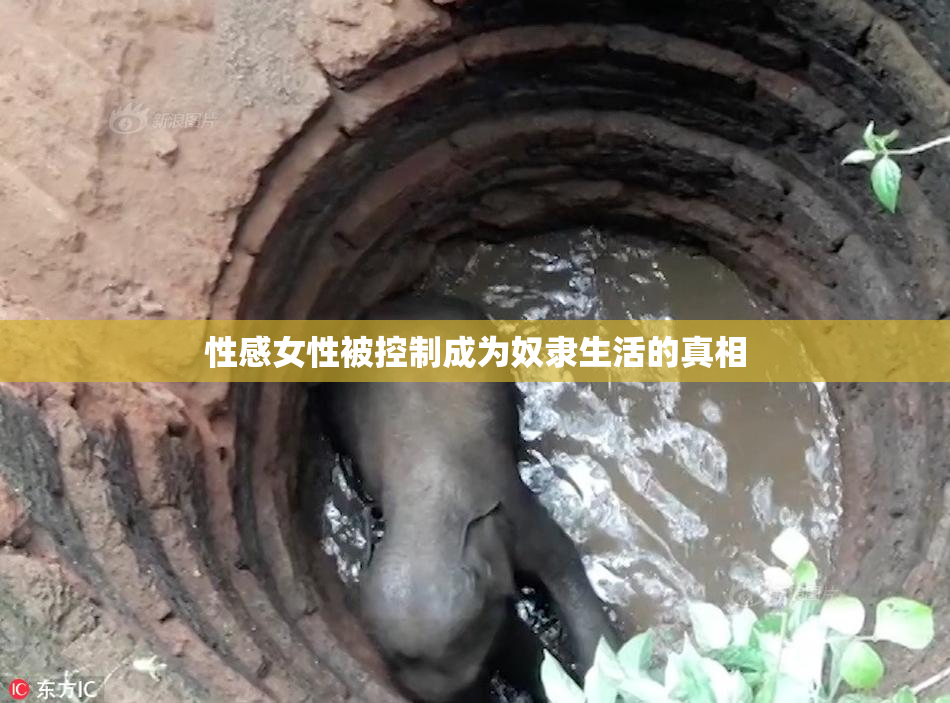 性感女性被控制成为奴隶生活的真相