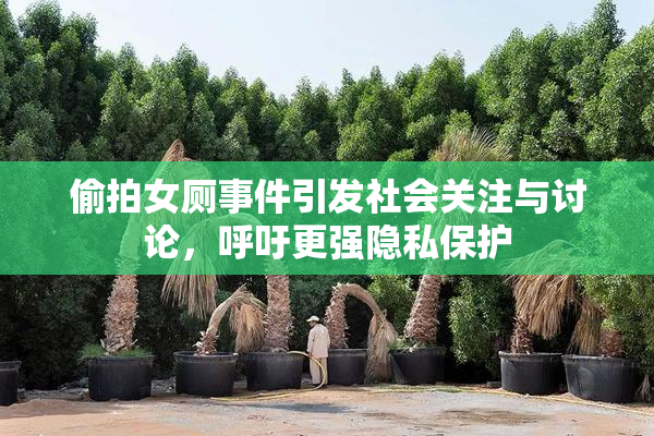 偷拍女厕事件引发社会关注与讨论，呼吁更强隐私保护