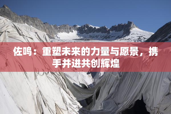 佐鸣：重塑未来的力量与愿景，携手并进共创辉煌