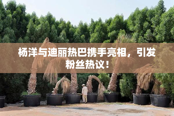 杨洋与迪丽热巴携手亮相，引发粉丝热议！