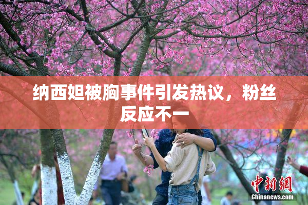 纳西妲被胸事件引发热议，粉丝反应不一