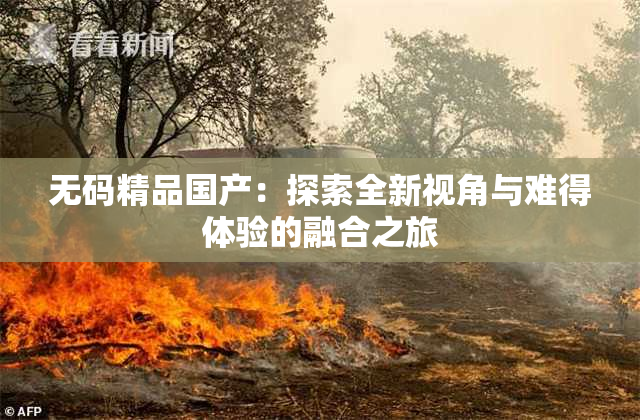 无码精品国产：探索全新视角与难得体验的融合之旅