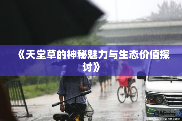 《天堂草的神秘魅力与生态价值探讨》