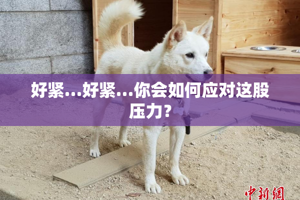 好紧…好紧…你会如何应对这股压力？