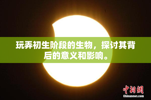 玩弄初生阶段的生物，探讨其背后的意义和影响。