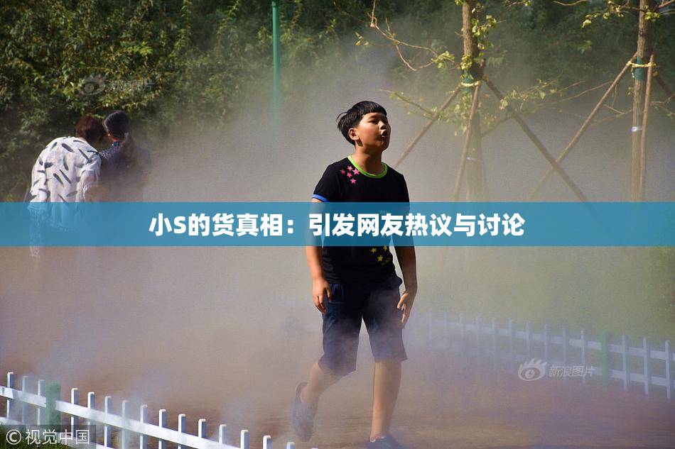 小S的货真相：引发网友热议与讨论