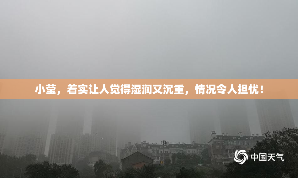 小莹，着实让人觉得湿润又沉重，情况令人担忧！
