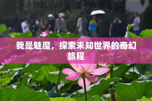 我是魅魔，探索未知世界的奇幻旅程