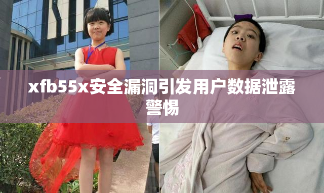 xfb55x安全漏洞引发用户数据泄露警惕