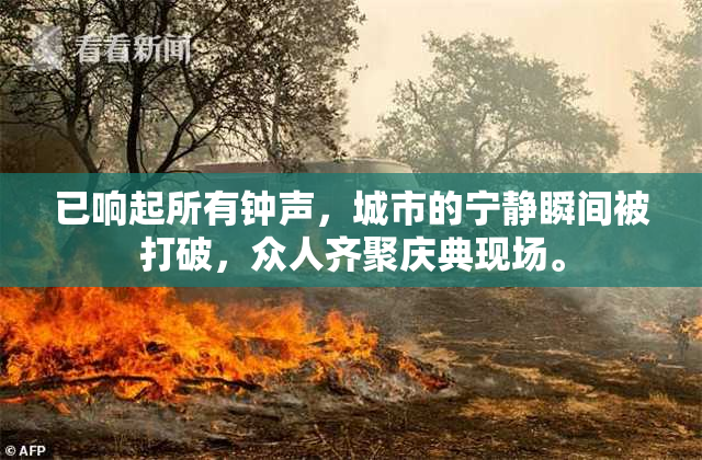 已响起所有钟声，城市的宁静瞬间被打破，众人齐聚庆典现场。