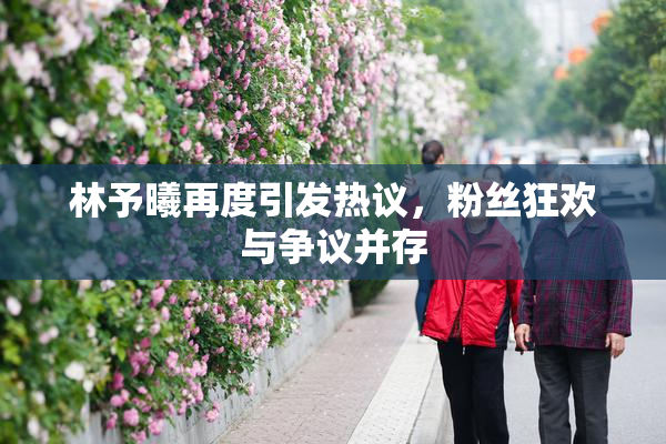 林予曦再度引发热议，粉丝狂欢与争议并存