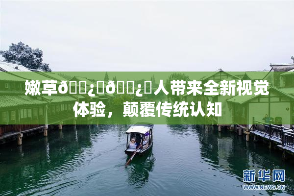 嫩草🌿‌🌿‌人带来全新视觉体验，颠覆传统认知