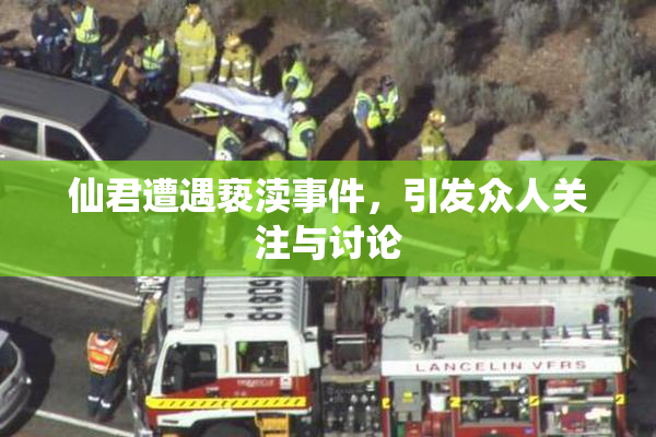 仙君遭遇亵渎事件，引发众人关注与讨论