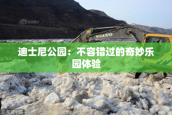 迪士尼公园：不容错过的奇妙乐园体验