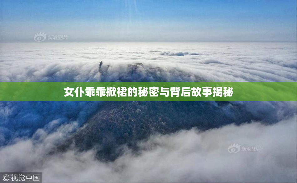 女仆乖乖掀裙的秘密与背后故事揭秘