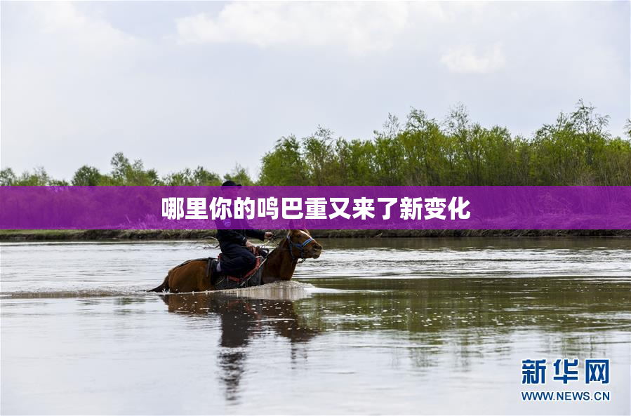 哪里你的鸣巴重又来了新变化