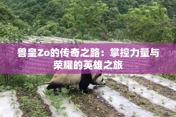 兽皇Zo的传奇之路：掌控力量与荣耀的英雄之旅