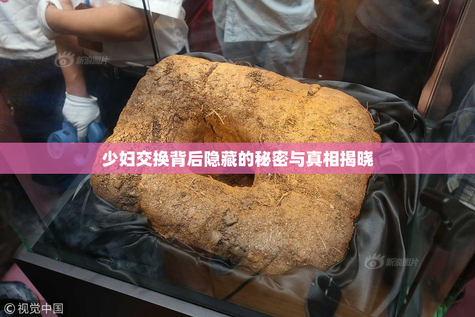 少妇交换背后隐藏的秘密与真相揭晓