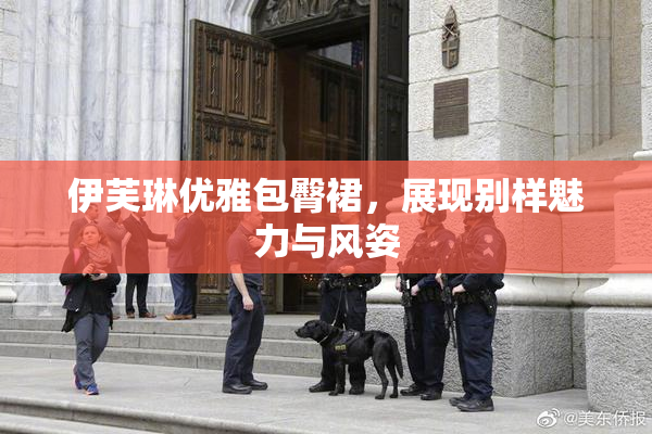 伊芙琳优雅包臀裙，展现别样魅力与风姿