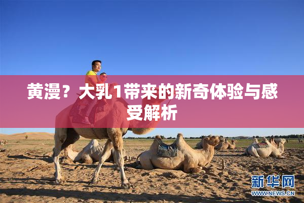 黄漫？大乳1带来的新奇体验与感受解析