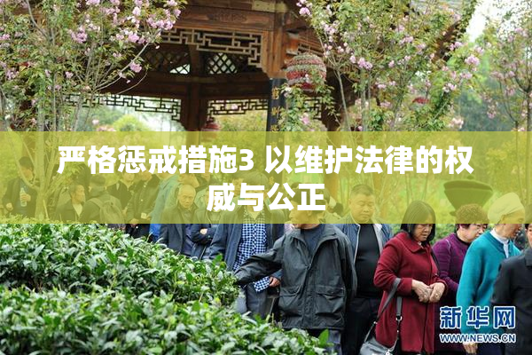 严格惩戒措施3 以维护法律的权威与公正