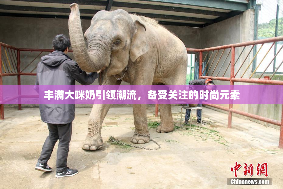 丰满大咪奶引领潮流，备受关注的时尚元素