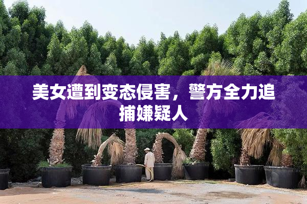 美女遭到变态侵害，警方全力追捕嫌疑人