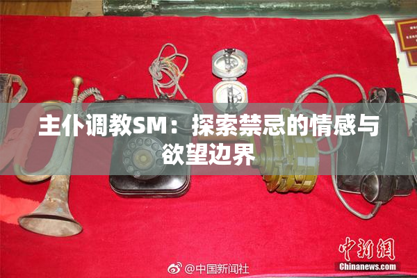 主仆调教SM：探索禁忌的情感与欲望边界