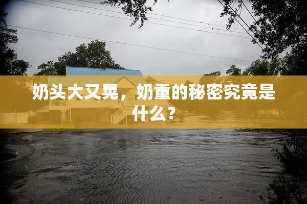 奶头大又晃，奶重的秘密究竟是什么？