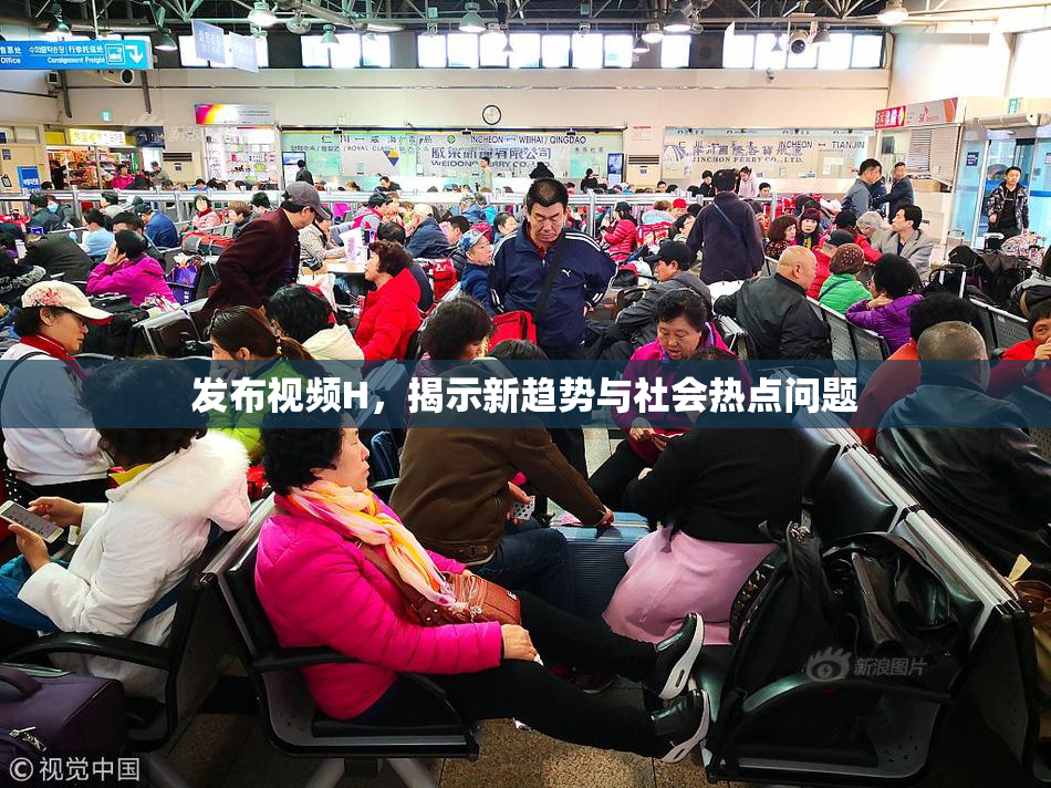 发布视频H，揭示新趋势与社会热点问题