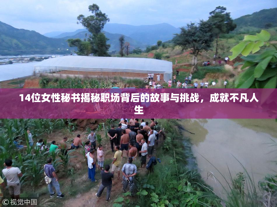 14位女性秘书揭秘职场背后的故事与挑战，成就不凡人生