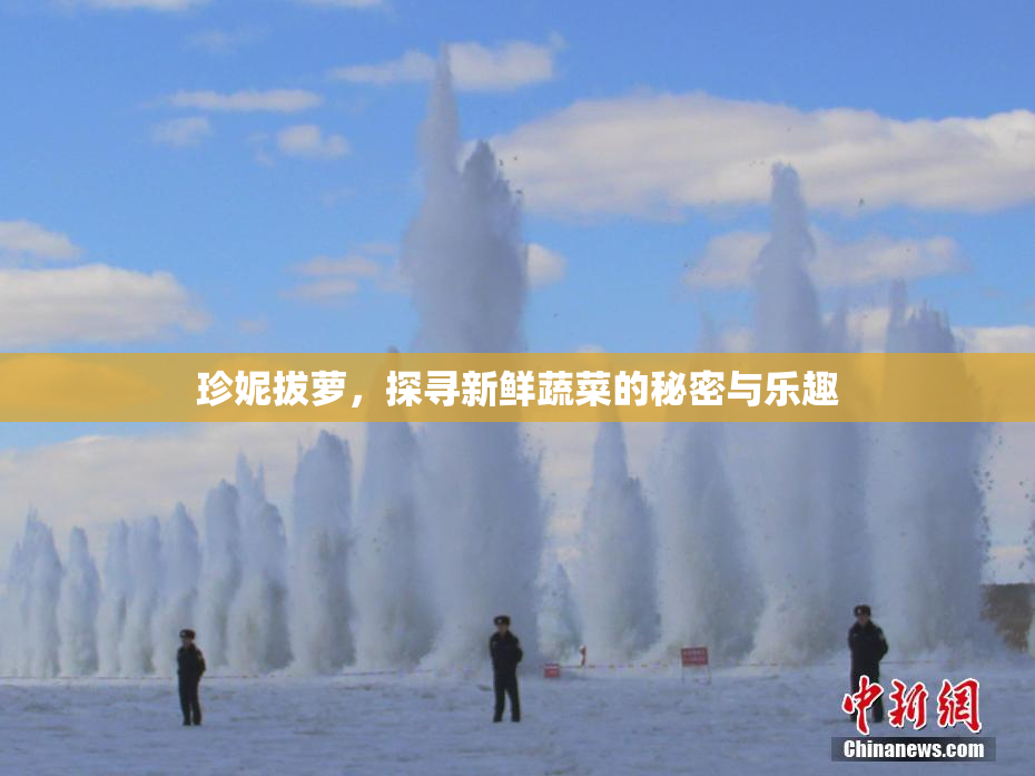 珍妮拔萝，探寻新鲜蔬菜的秘密与乐趣