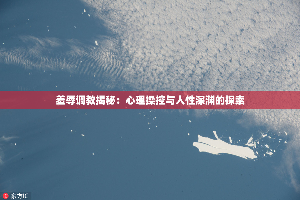 羞辱调教揭秘：心理操控与人性深渊的探索