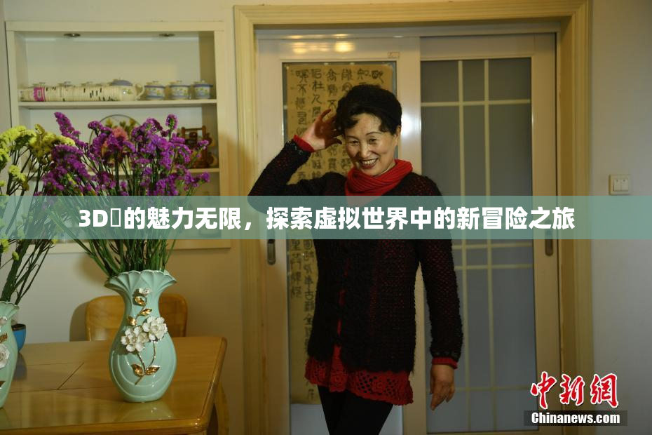 3D姉的魅力无限，探索虚拟世界中的新冒险之旅