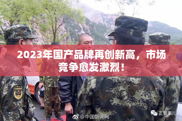 2023年国产品牌再创新高，市场竞争愈发激烈！