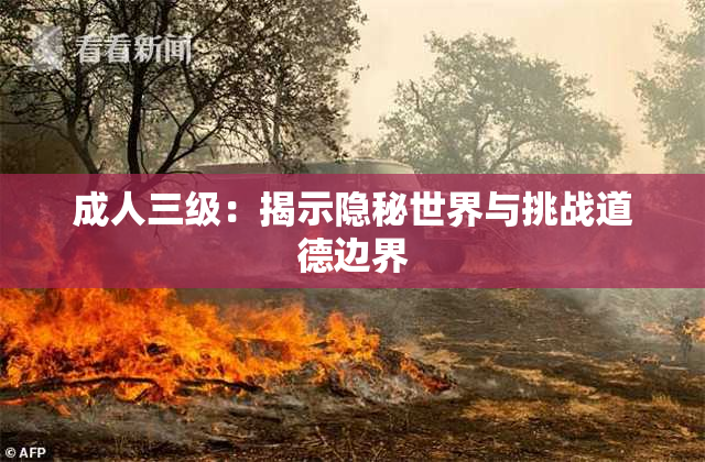 成人三级：揭示隐秘世界与挑战道德边界