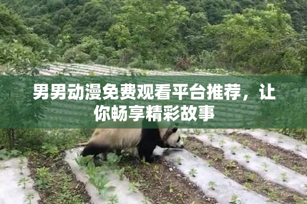 男男动漫免费观看平台推荐，让你畅享精彩故事